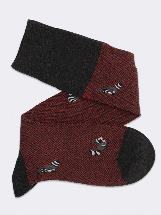 Men's knee - high socks with raccoons pattern Made in Italy