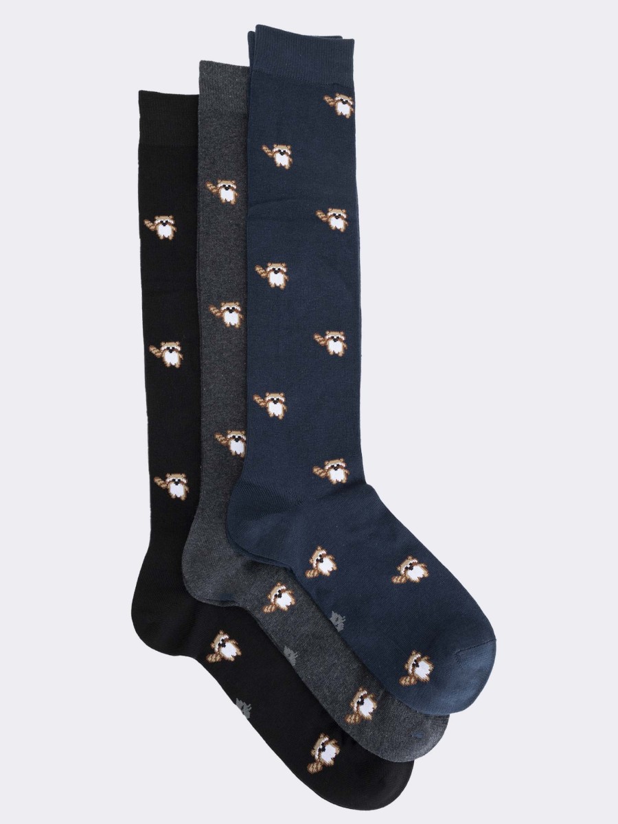 Three men's knee high socks with raccoon pattern in warm cotton